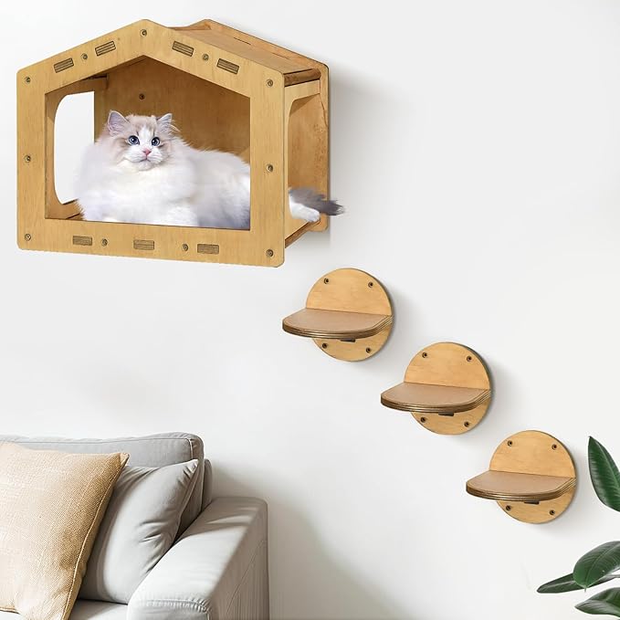 Cat Wall Shelves, Cat Shelves and Perches for Wall, Cat House Fit Cat Up to 25Lbs, 1 Cat Condo House and 3 Large Cat Steps with Scratching Pad, Cat Climbing Shelf for Indoor, Cat Wall Furniture