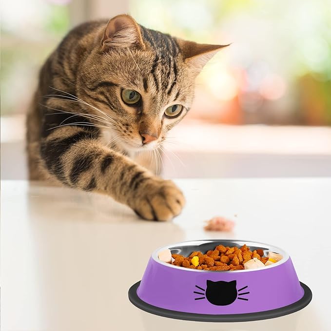 2Pcs Cat Bowls Non-Slip Stainless Steel Small Cat Food Bowls Unbreakable Thicken Cat Feeder 13 Oz Cat Dishes Suitable for Indoor Small Pets Removable Rubber Base Easily Clean Lovely Color