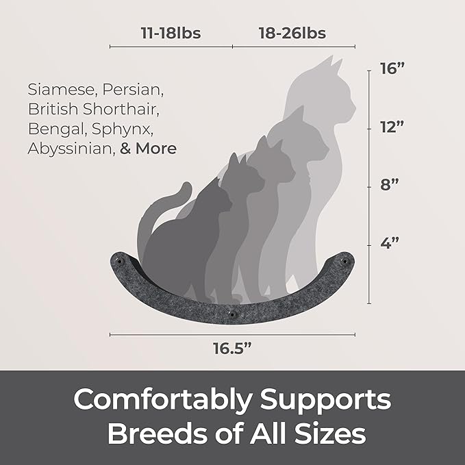 Cat Wall Hammock by Pryde Pets, Perch and Cat Shelf for Wall - 100% PET Felt, Sustainable - Modular Floating Shelf for Cats, Indoor/Outdoor Cat Furniture (Charcoal)