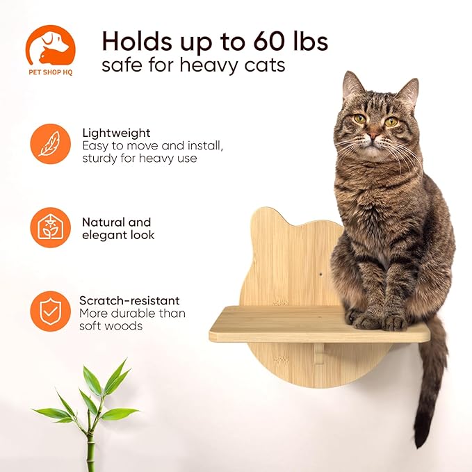 Cat Wall Shelves Furniture for Climbing - Cat House Wall Mounted - Indoor Wooden Floating Cat Furniture - Different Models Including Shelves, Perches, Hammock, Bed, Bridges, Walkways