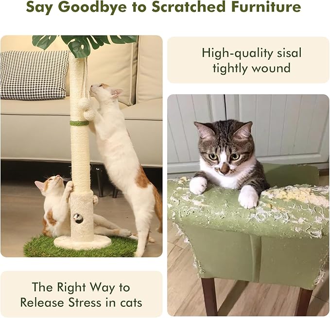 Cat Scratching Posts Cat Trees 35.43" Tall with Sisal Rope Cat Toy and Hanging Ball for Indoor,Wooden Palm Tree Cat Scratch Pole for All Cat（White