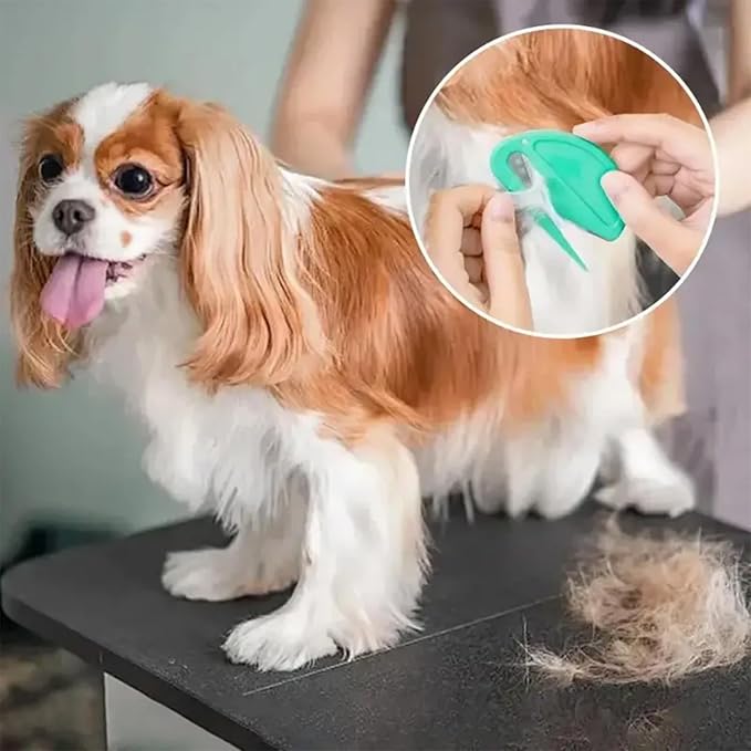 5PCS Pet Knotting Comb + 1PCS Grooming Comb, Pet Hair Grooming Tool for Pets, Knotting Comb for Dog & Cat, Pet Dematting Comb for Dogs and Cats, Attached 760PCS Mini Color Elastic Hair Ties