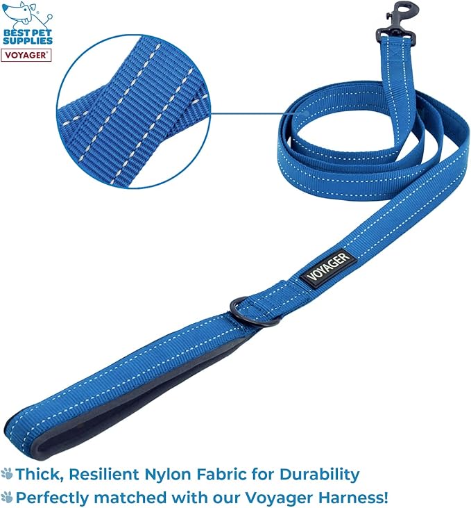 Voyager Step-in Lock Adjustable Cat Harness w. Cat Leash Combo Set with Neoprene Handle 5ft - Supports Small, Medium and Large Breed Cats by Best Pet Supplies - Royal Blue, XXS