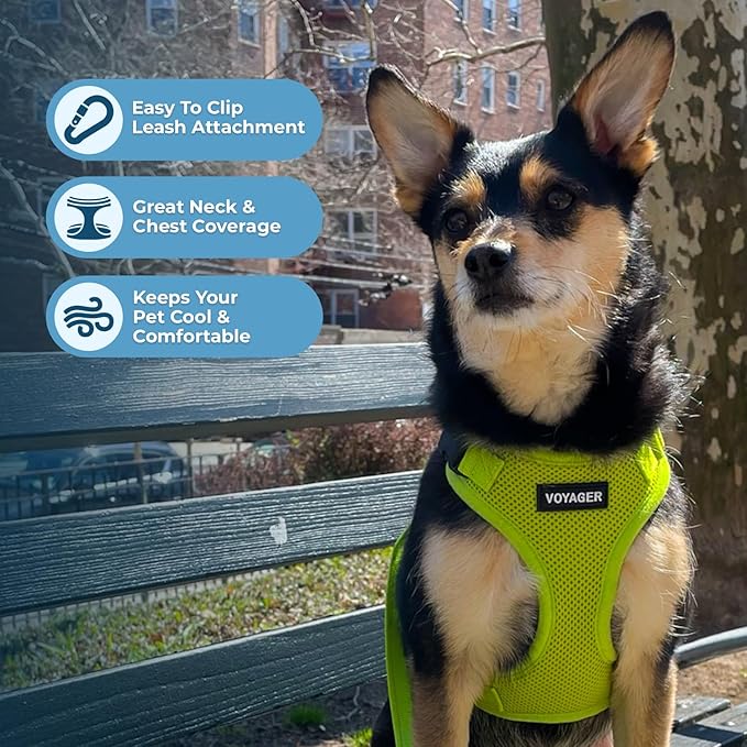 Voyager Step-in Lock Pet Harness - All Weather Mesh, Adjustable Step in Harness for Cats and Dogs by Best Pet Supplies - Lime Green, XL