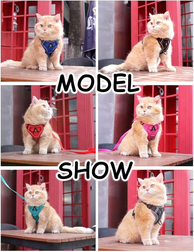 Cat Harness and Leash Set, Upgraded Escape Proof Adjustable Vest with Lead for Kitten Puppy Outdoor Walking, Soft Breathable Mesh Jacket with Reflective Strips for Dark Night (M, Klein Blue)