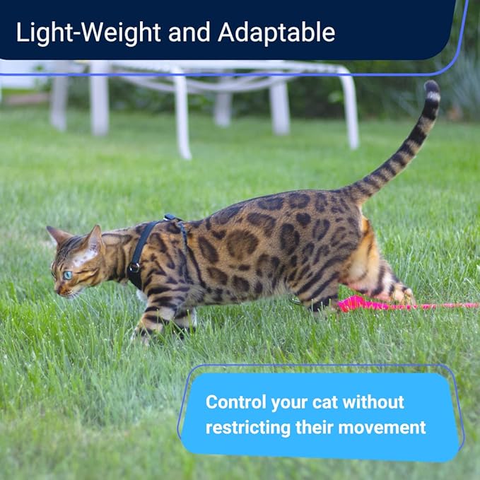 Houdini™ Escape Proof Cat Harness and Leash Set by OutdoorBengal for Walking Cats and Kittens (Soft Mesh, Kitten)