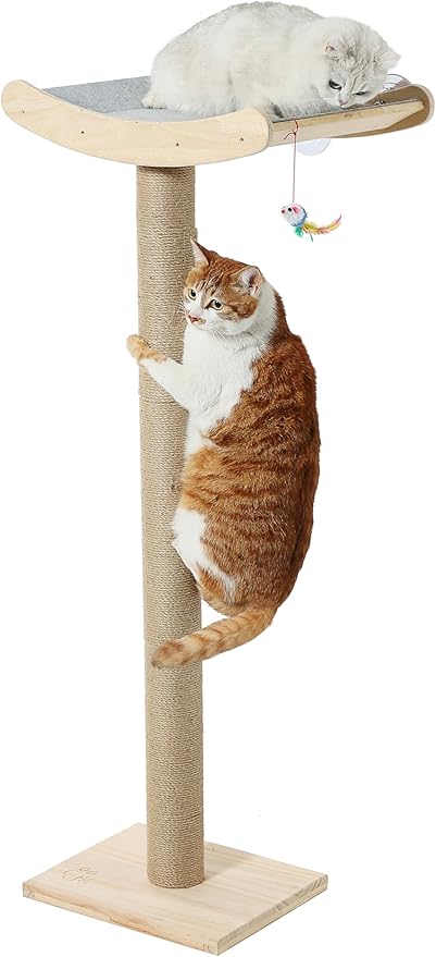 Window Cat Perch with Scratching Posts, 46" Wood Tree Bed for Large Inside Cats Climbing, Perching and Lounging, Mounted with 3 Strong Suction Cups (Wood Platform)