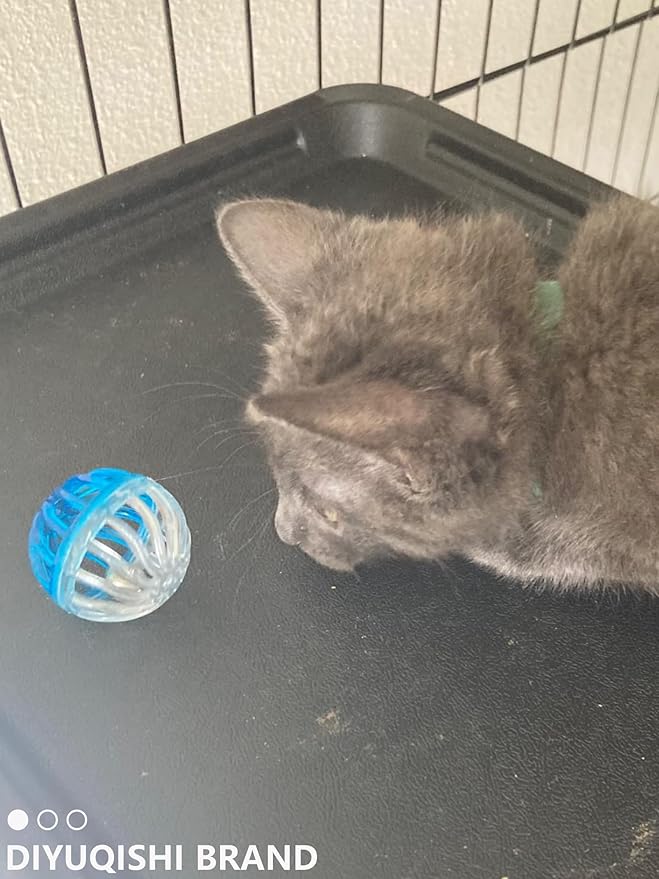 10-Pack Colorful Sturdy Cat Toy Balls with Bells, Interactive & Energetic Play, Easy-Grab Cat Toys for All Breeds and Ages