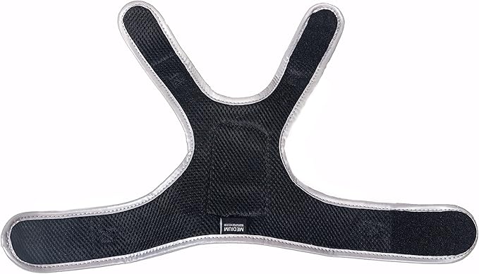 Travel Cat & Stray Cat Harness and Leash Set - Adjustable Velcro Mesh Cat Harness and Strong Nylon Leash Kit - Comfort Escape Proof Harness for Cats, Kitten for Outdoor Walking (Large: 13-16 in)