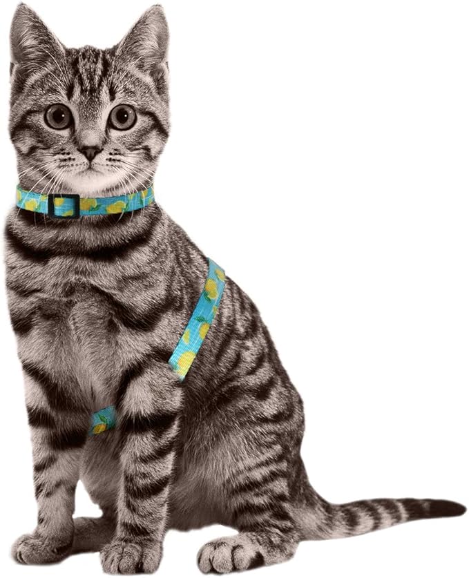 azuza Cat Harness and Leash Set for Safe Walking and Travel, Escape Proof Cat Harness, Lightweight Soft and Comfortable, Adjustable Kitten Harness for Small Medium Large Cats, Lemon