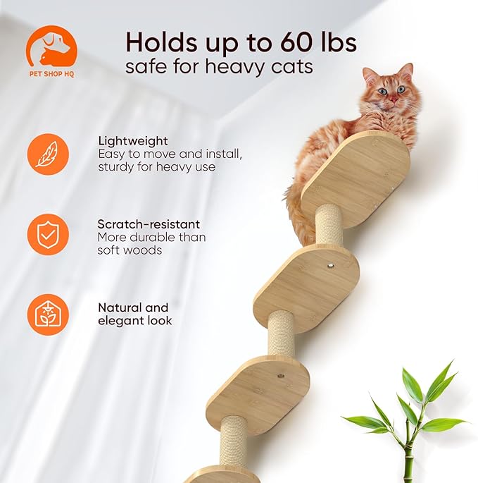 Cat Wall Shelves Furniture for Climbing - Cat House Wall Mounted - Indoor Wooden Floating Cat Furniture - Different Models Including Shelves, Perches, Hammock, Bed, Bridges, Walkways