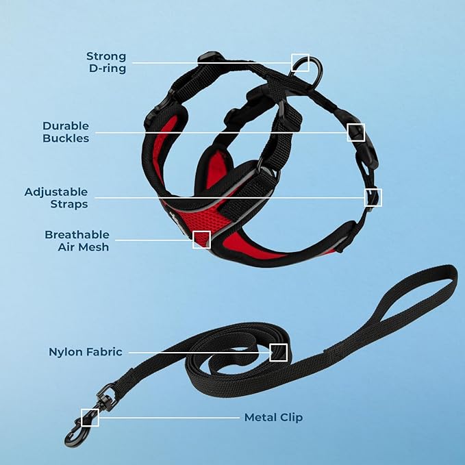 Voyager Escape Proof Cat Harness and Leash Set with Reflective Stitching, Neoprene Handle 5ft - Supports Small, Medium and Large Cats, Kittens for Walking by Best Pet Supplies - Black Trim-Red, XS