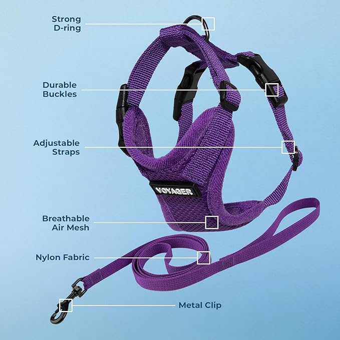Voyager Step-in Lock Adjustable Cat Harness w. Cat Leash Combo Set with Neoprene Handle 5ft - Supports Small, Medium and Large Breed Cats by Best Pet Supplies - Purple, XS