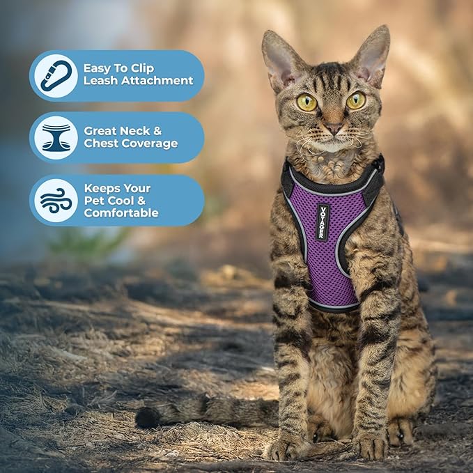 Voyager Escape Proof Cat Harness and Leash Set with Reflective Stitching, Neoprene Handle 5ft - Supports Small, Medium and Large Cats, Kittens for Walking by Best Pet Supplies - BT-Purple, XXXS