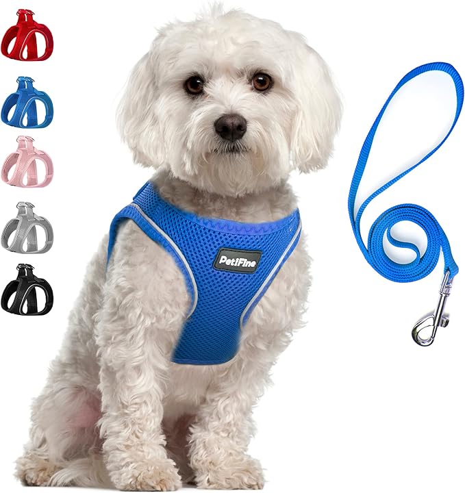 PetiFine Step in Small Dog Harness and Leash Set, Breathable All Weather Air Mesh Reflective Escape Proof, Step-in Vest Harnesses for Puppy(S, Baby Blue)
