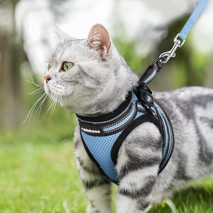 rabbitgoo Cat Harness and Leash Set for Walking Escape Proof, Adjustable Soft Kittens Vest with Reflective Strip for Cats, Comfortable Outdoor Vest, Light Blue, XL