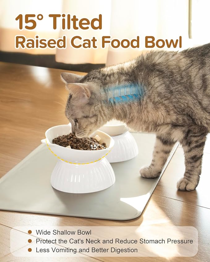 2 Ceramic Raised Cat Food Bowls, Elevated Cat Food and Water Bowl Set, Pet Bowl for Indoor Cats and Small Dogs, Anti-Vomiting Cat Dog Feeder with Plastic Base, Dishwasher Safe (Pure White)