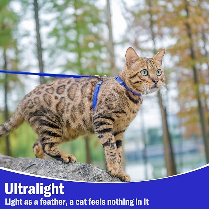 PUPTECK Adjustable Cat Harness and Leash Set Escape Proof Kitten Strap Collar for Walking Travel, Blue, M