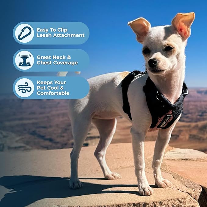 Voyager Step-in Lock Pet Harness - All Weather Mesh, Adjustable Step in Harness for Cats and Dogs by Best Pet Supplies - Pink/Black Trim, XS