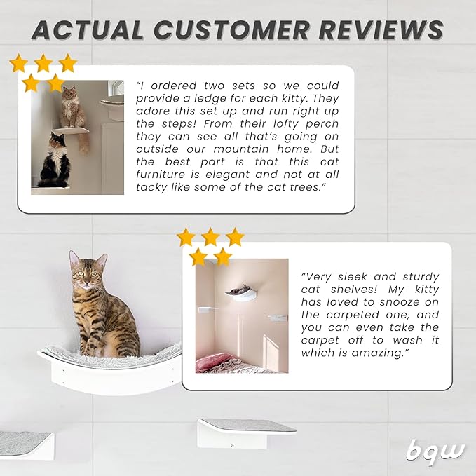 Floating Cat Shelf Wall Mounted Cat Bed Furniture Climbing Wall for Cat Perching Sleeping Lounging with 2 Steps (Curved)