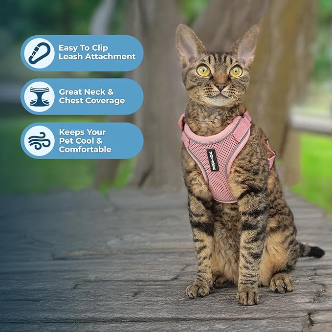 Voyager Escape Proof Cat Harness and Leash Set with Reflective Stitching, Neoprene Handle 5ft - Supports Small, Medium and Large Cats, Kittens for Walking by Best Pet Supplies - Pink, XXXS