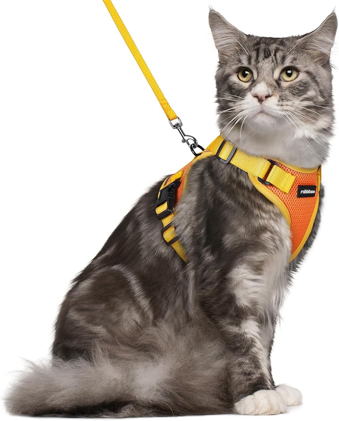 rabbitgoo Cat Harness and Leash Set, Escape Proof Soft Adjustable Vest Harnesses for Outdoor Walking, Easy Control Breathable Kitten Jacket with Reflective Strips, Orange & Yellow, M