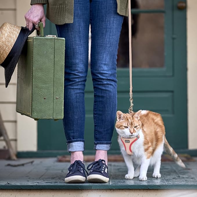 Cat Harness and Leash Set, Soft and Breathable Vest with Reflective Strip, Escape Proof Kitten Harness, Easy to Wear for Cats Walking and Traveling (Green, L)