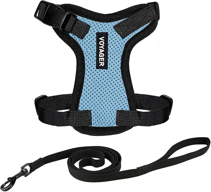 Voyager Step-in Lock Adjustable Cat Harness w. Cat Leash Combo Set with Neoprene Handle 5ft - Supports Small, Medium and Large Breed Cats by Best Pet Supplies - Baby Blue/Black Trim, S