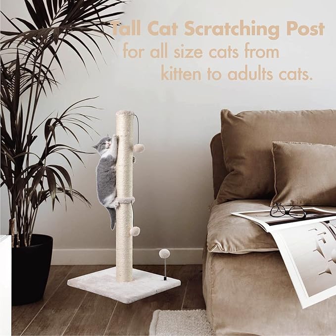 MECOOL 34” Tall Cat Scratching Post Premium Basics Kitten Scratcher Sisal Scratch Posts Trees with Hanging Ball for Indoor Cats (34 inches for Adult Cats, Beige)