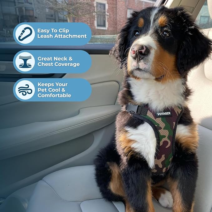 Voyager Step-in Lock Pet Harness - All Weather Mesh, Adjustable Step in Harness for Cats and Dogs by Best Pet Supplies - Army/Black Trim, L