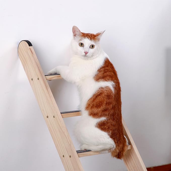SHENGOCASE Solid Wood Wall Leaning Cat Ladder for Indoor Cats and Small Medium Dog, Cat Stair Step for Window Bed, Cat Wall Climbing Furniture (47.2")