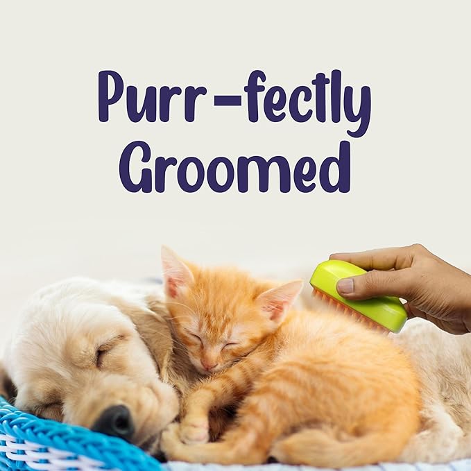 3-in-1 Cat Steam Brush & Belt Combo: Self-Cleaning Steamy Brush for Cats & Dogs, Massage Grooming Comb, Pet Hair Remover, Water Spray, Multifunctional Shedding Tool (Green)