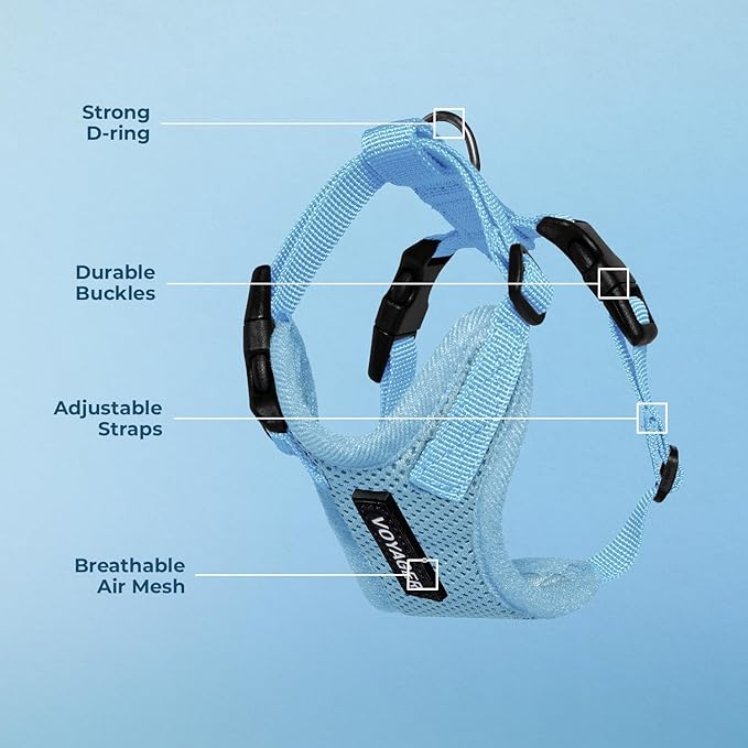 Voyager Step-in Lock Pet Harness - All Weather Mesh, Adjustable Step in Harness for Cats and Dogs by Best Pet Supplies - Baby Blue, XS