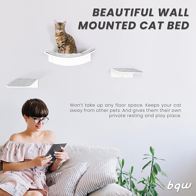 Floating Cat Shelf Wall Mounted Cat Bed Furniture Climbing Wall for Cat Perching Sleeping Lounging with 2 Steps (Curved)