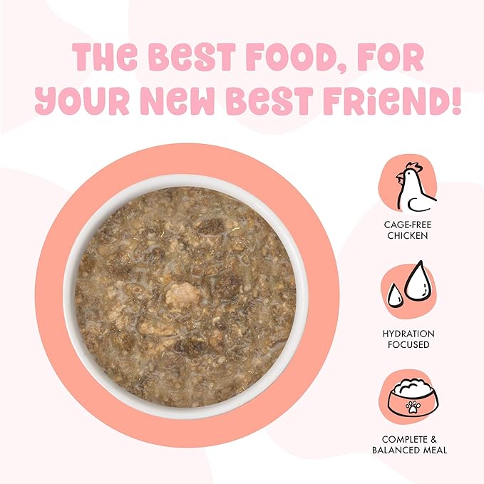 B.F.F. Kitten, Cha Cha Cha, 2.8oz Can (Pack of 12)