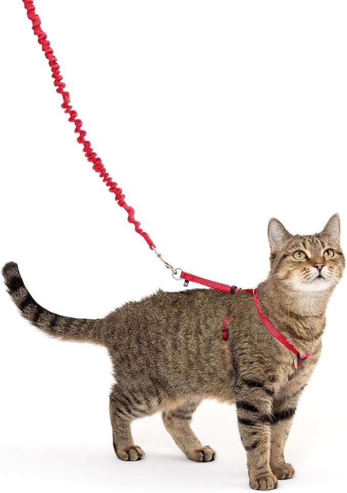 PetSafe Come with Me Kitty Harness and Bungee Leash, Small, Red