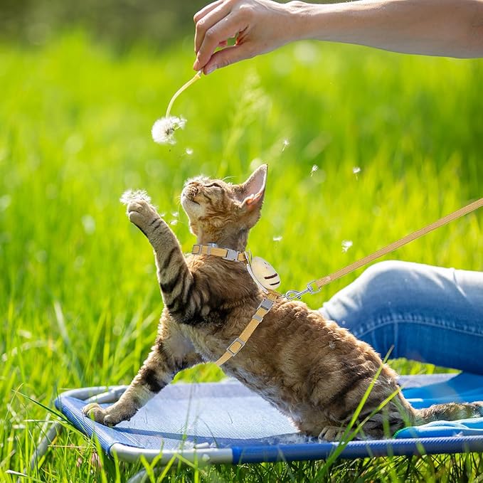 TIESOME Cat Harness and Leash Set, Adjustable Gradient Kitten Harness Escape Proof Harness with Leash for Kitty Outdoor Walking (Vanilla Yellow)