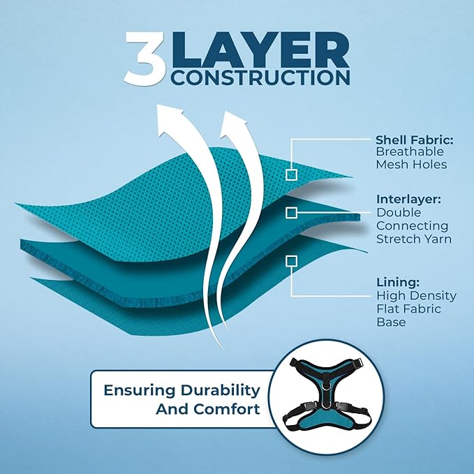 Voyager Escape Proof Cat Harness and Leash Set with Reflective Stitching, Neoprene Handle 5ft - Supports Small, Medium and Large Cats, Kittens for Walking by Best Pet Supplies - BT-Turquoise, XS