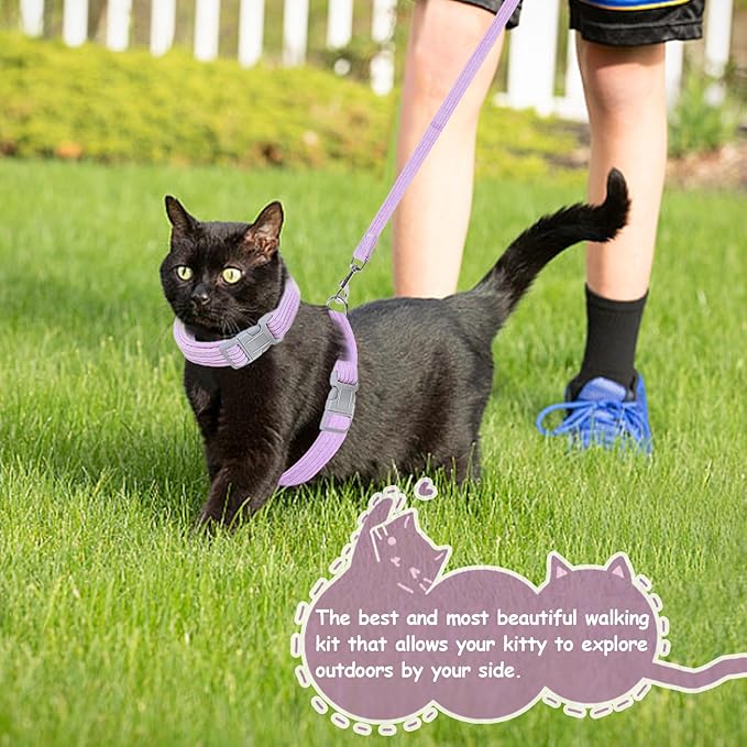 Cat Harness, Safety Leash Set for outings and Travelling to Prevent Cats from Escaping - Adjustable Kitten Safety Leash, Soft and Comfortable for Small and Medium Sized Cats (Pink, M)