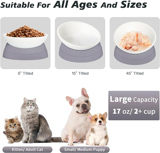 3Pcs Cat Bowls Elevated Cat Food Bowl Adjustable Cat Dish Anti-Slip and Anti-Noise Raised Cat Bowl Protecting Pet’s Spine Thickened Plastic Bowl Suitable for Indoor Cats, 17 Oz,