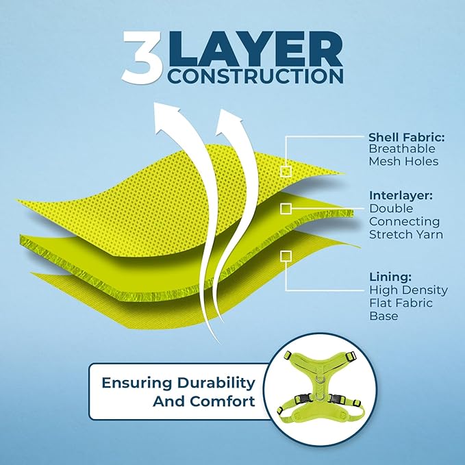 Voyager Step-in Lock Adjustable Cat Harness w. Cat Leash Combo Set with Neoprene Handle 5ft - Supports Small, Medium and Large Breed Cats by Best Pet Supplies - Lime Green, S