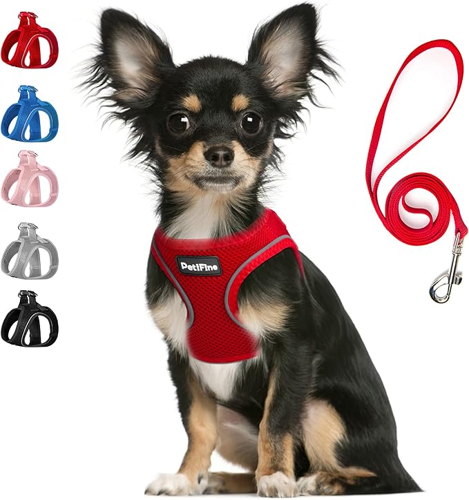 PetiFine Step in Small Dog Harness and Leash Set, Breathable All Weather Air Mesh Reflective Escape Proof, Step-in Vest Harnesses for Puppy(XS, Red)
