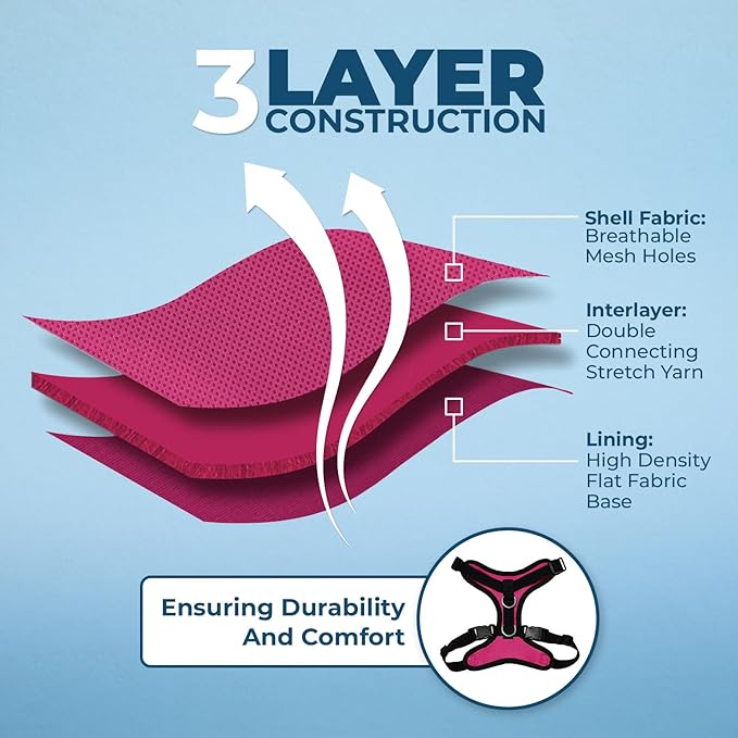 Voyager Step-in Lock Adjustable Cat Harness w. Cat Leash Combo Set with Neoprene Handle 5ft - Supports Small, Medium and Large Breed Cats by Best Pet Supplies - Fuchsia/Black Trim, XXS