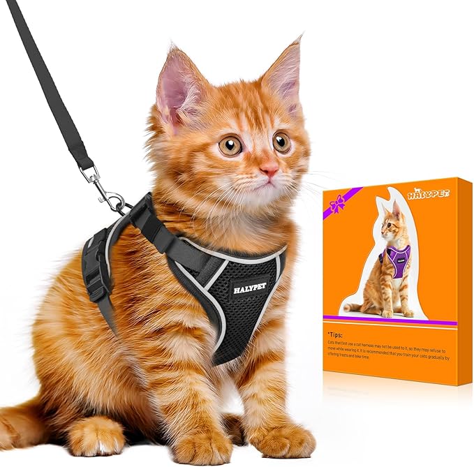 Halypet Cat Harness and Leash Set [MAX Safety 4th-Gen Upgrade] Escape Proof Adjustable Cat Leash Comfortable Soft Vest Easy to Wear Kitten Harness with Reflective Strip for Cats Walking, M Black