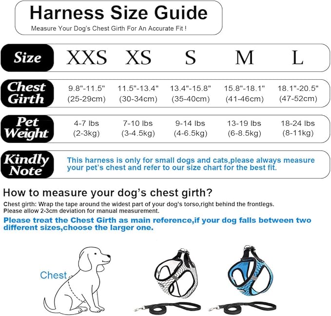 Soft Mesh Dog Harness and Leash Set, Step-in Reflective Breathable Comfort Padded Quick Dry Pet Puppy Vest Harness for Extra-Small/Small Medium Dogs and Cats (Blue, M)