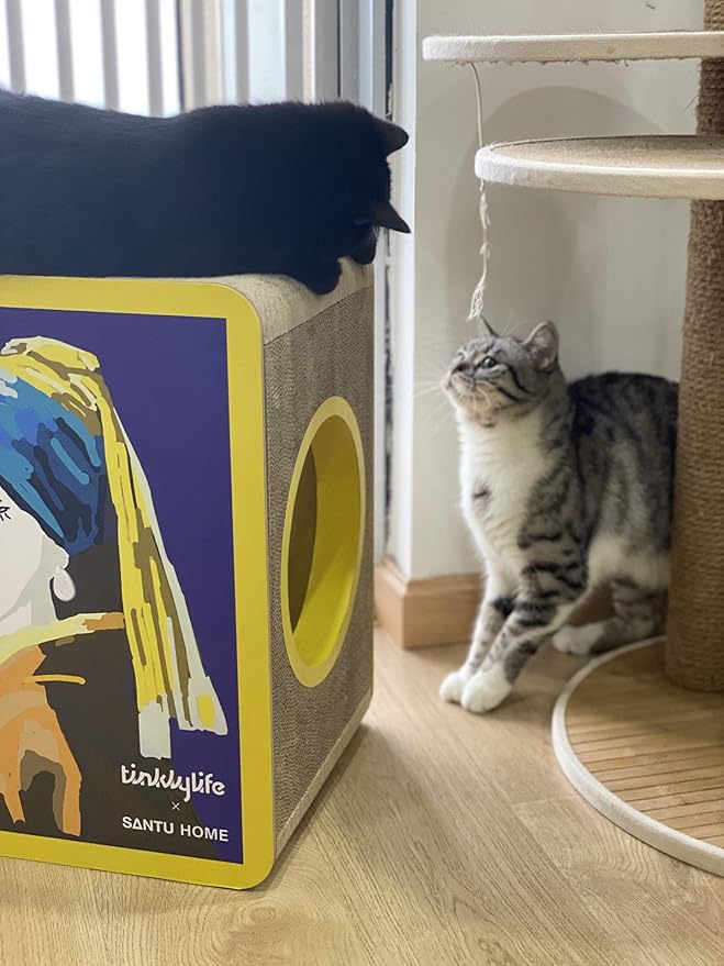 Cat Condo Scratcher Cardboard, Girl with a Pearl Earring Shape Adaptation Spoof Version Cat Scratching House Bed Furniture Protector, Pink