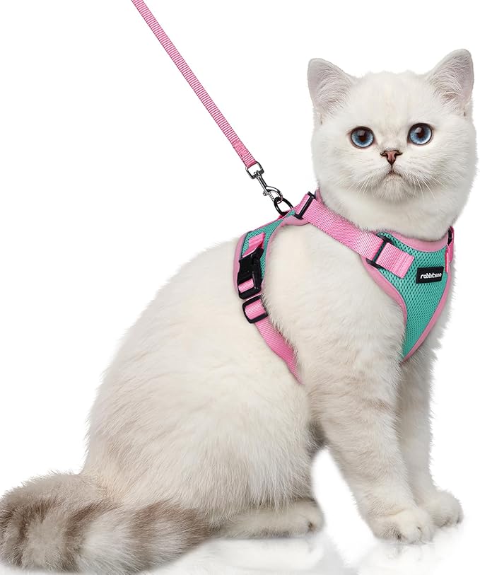 rabbitgoo Cat Harness and Leash Set, Escape Proof Soft Adjustable Vest Harnesses for Outdoor Walking, Easy Control Breathable Kitten Jacket with Reflective Strips, Green & Pink, XS