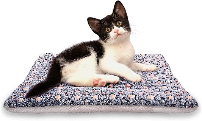 FJWYSANGU Fluffy Pet Cat Blanket Soft Coral Velvet Pet Puppy Cushion Mat Warm Cover Soft Pad Mat M Dark Blue