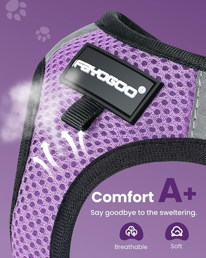 FAYOGOO Cat Harness, Cat Leash and Harness Set for Walking Escape Proof, Harness for Small Cats/Small Dogs, Large Kitten/Puppy Harness and Leash, Harness for Cats S-XXL(Modern Violet, Medium)