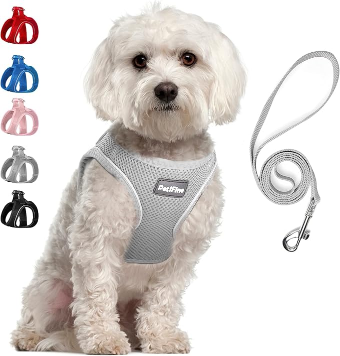 PetiFine Step in Small Dog Harness and Leash Set, Breathable All Weather Air Mesh Reflective Escape Proof, Step-in Velcro Vest Harnesses for Puppy(S, Grey)